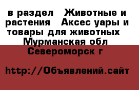  в раздел : Животные и растения » Аксесcуары и товары для животных . Мурманская обл.,Североморск г.